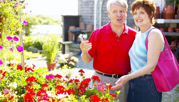Couple shopping at plant nursery