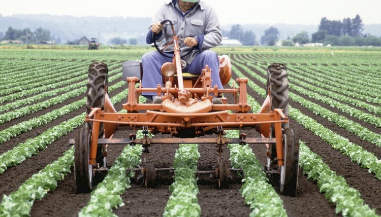 Farmer on tractor in field