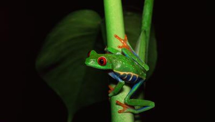 Jupiterimages/Photos.com/Getty Images
