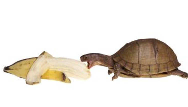 Thinkstock/Comstock/Getty Images