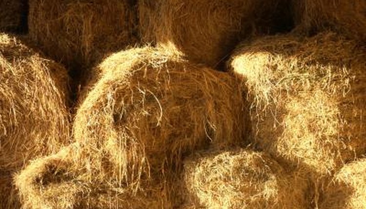 Thinkstock/Comstock/Getty Images