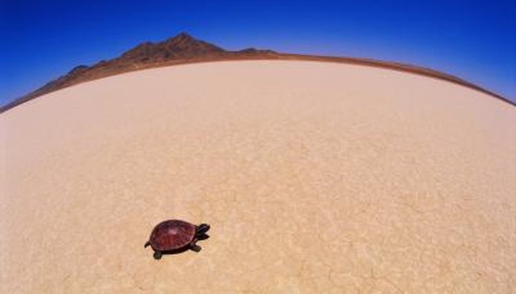 Thinkstock Images/Comstock/Getty Images