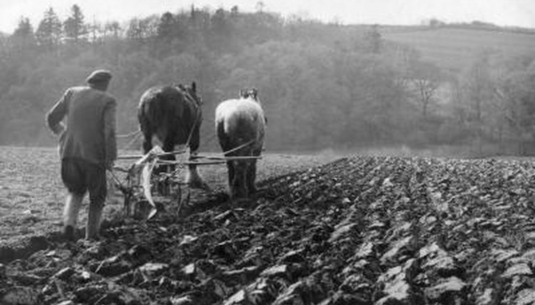 Hulton Collection/Valueline/Getty Images
