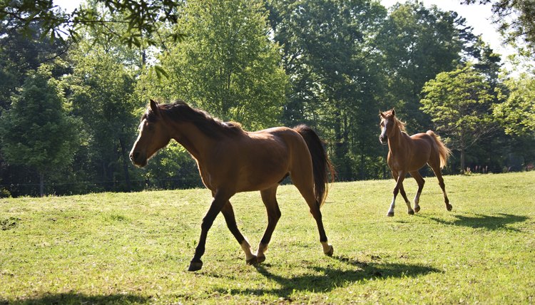 Thinkstock/Stockbyte/Getty Images