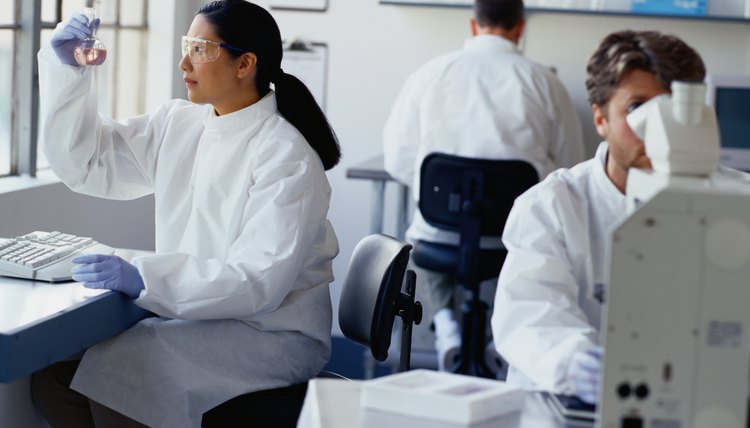 Chemists Working in a Laboratory