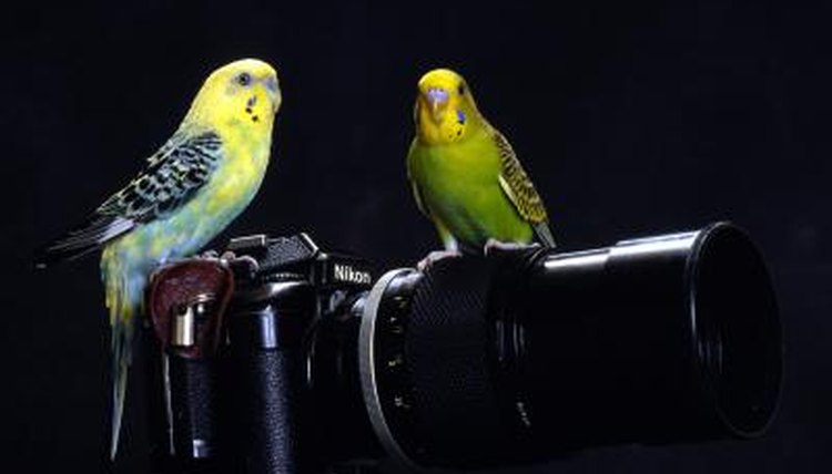 NA/Photos.com/Getty Images