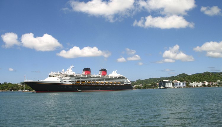 the cruise