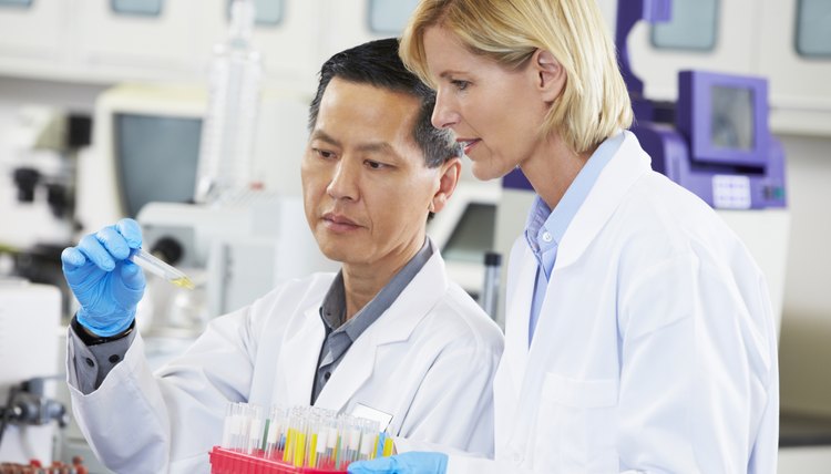 Male And Female Scientists Working In Laboratory