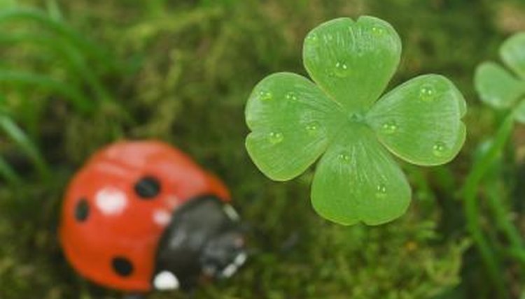 Thinkstock Images/Stockbyte/Getty Images