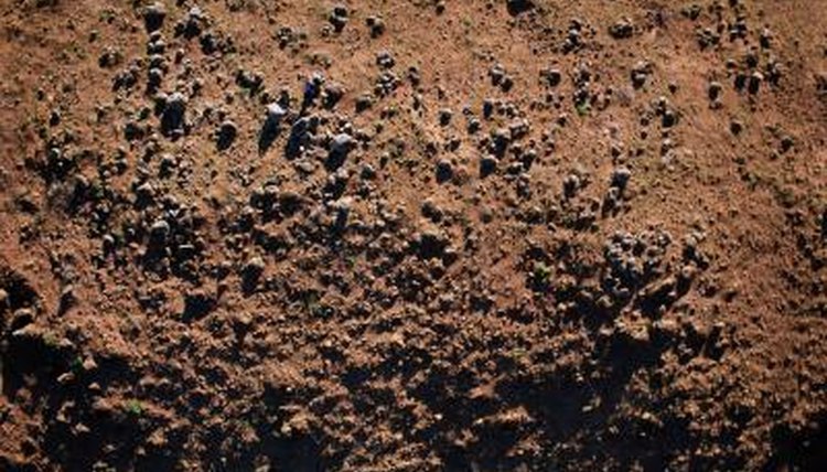 Thinkstock Images/Comstock/Getty Images