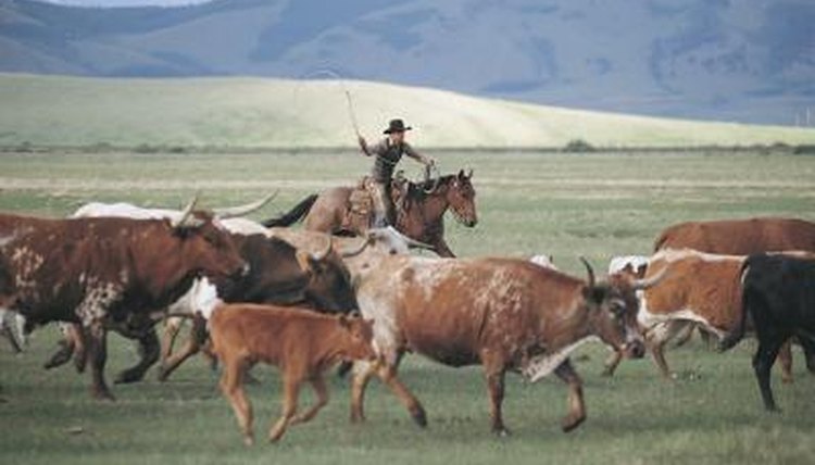 Comstock/Comstock/Getty Images