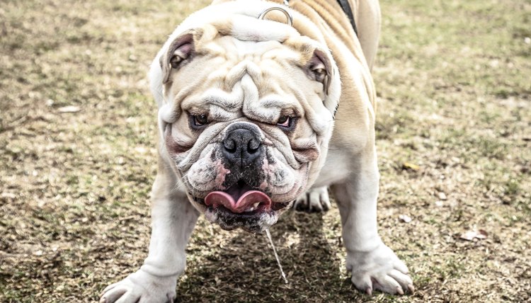 sjallenphotography/iStock/Getty Images