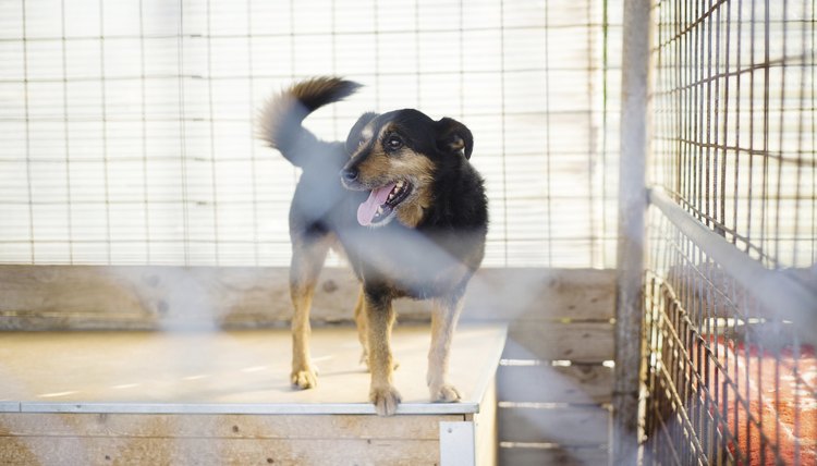 pojoslaw/iStock/Getty Images