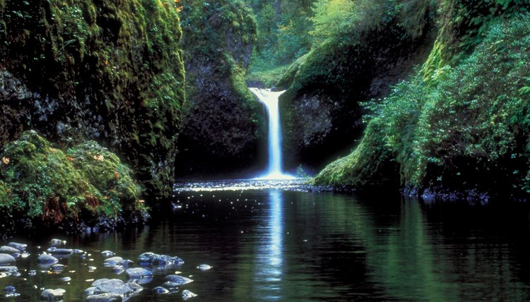 rainforest-weather-climate-sciencing