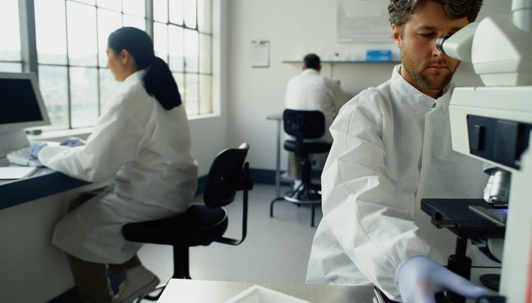 Chemists Working in a Laboratory