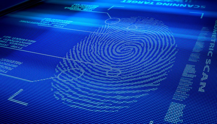 identification system interface