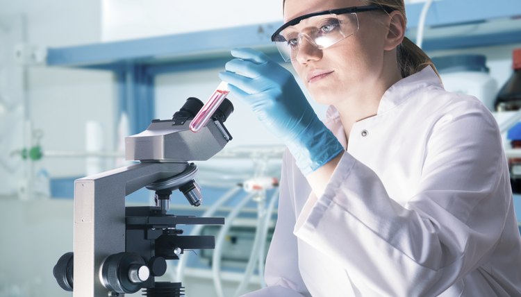 How Much Does A Medical Lab Tech Make In Florida