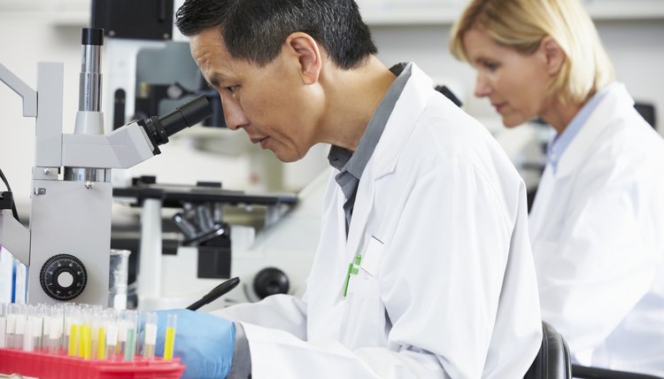 Male And Female Scientists Using Microscopes In Laboratory