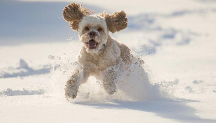 mwalker973/iStock/Getty Images
