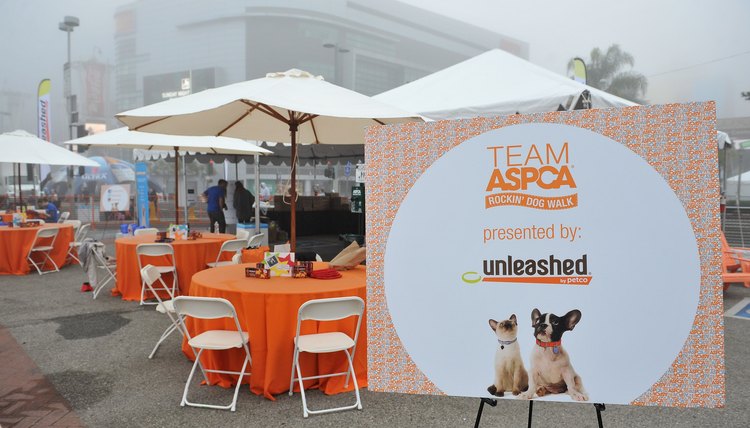 The Rock 'n' Roll Los Angeles Halloween Half-Marathon Benefitting The ASPCA