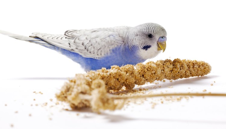 Multiart/iStock/Getty Images