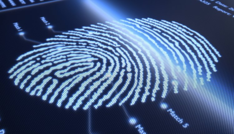 Fingerprint on pixellated screen