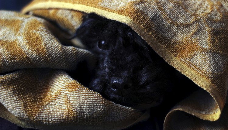 AlexaSvilkic/iStock/Getty Images