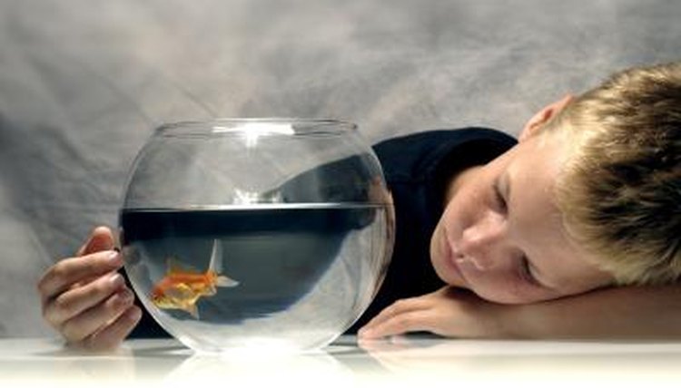 Thinkstock Images/Comstock/Getty Images