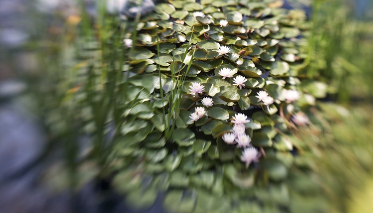 Thinkstock/Comstock/Getty Images