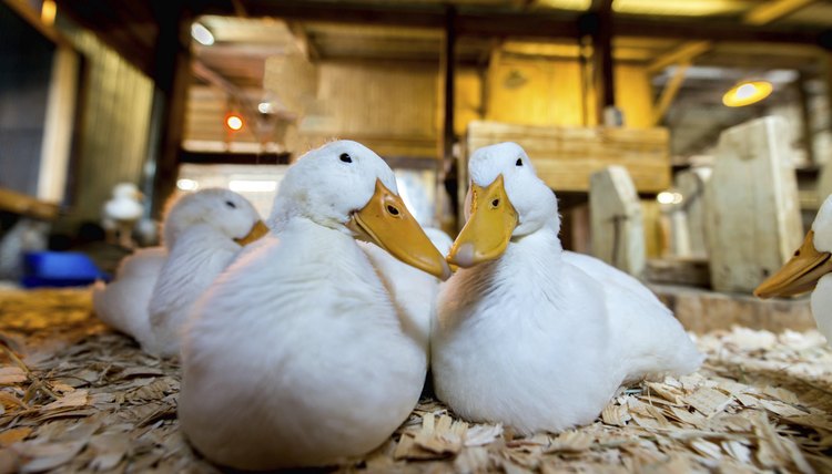 photographereddie/iStock/Getty Images
