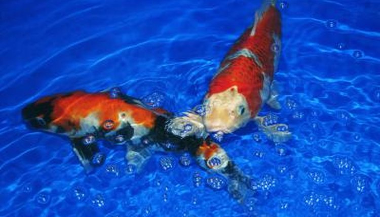 Jupiterimages/liquidlibrary/Getty Images