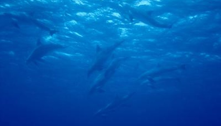 NA/AbleStock.com/Getty Images