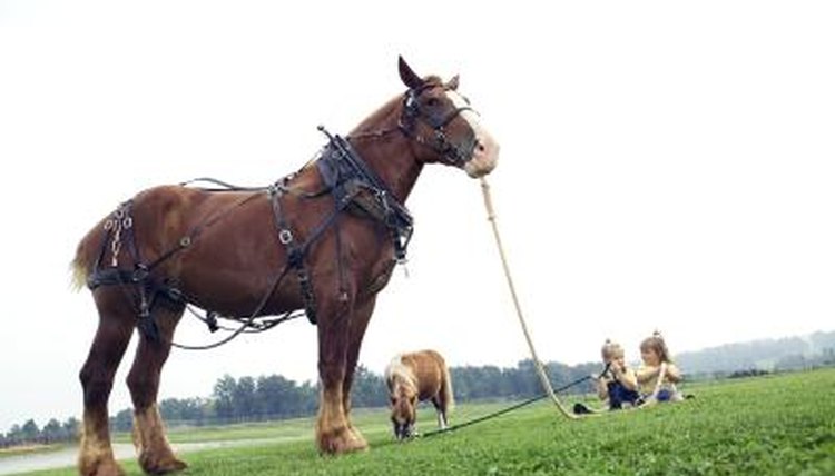 Thinkstock/Comstock/Getty Images