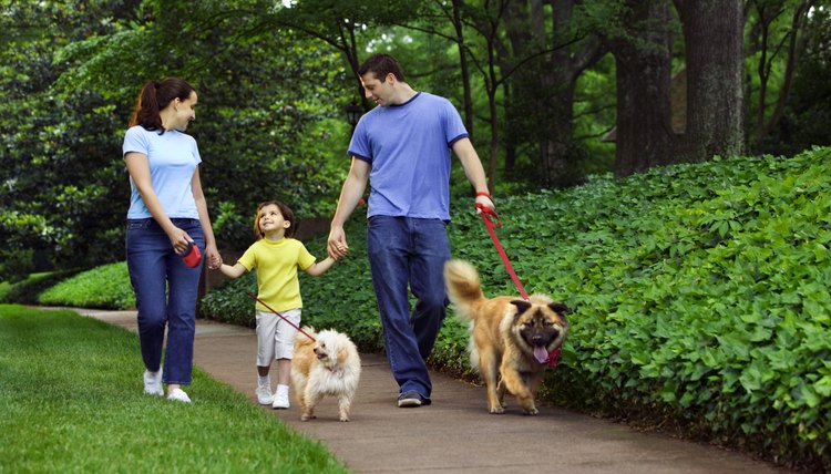 Thinkstock/Stockbyte/Getty Images