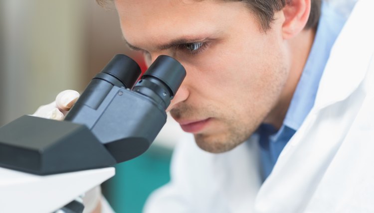Scientific researcher using microscope in the laboratory