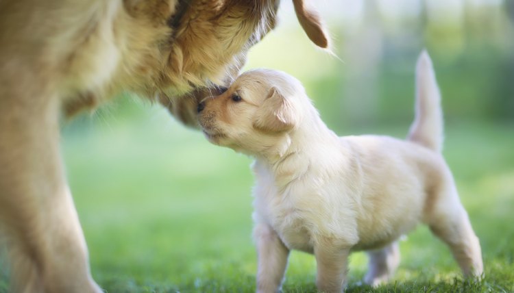 Bigandt_Photography/iStock/Getty Images