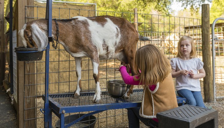 Jen Grantham/iStock/Getty Images