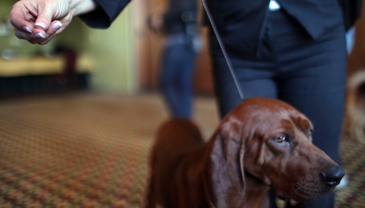 Spencer Platt/Getty Images News/Getty Images