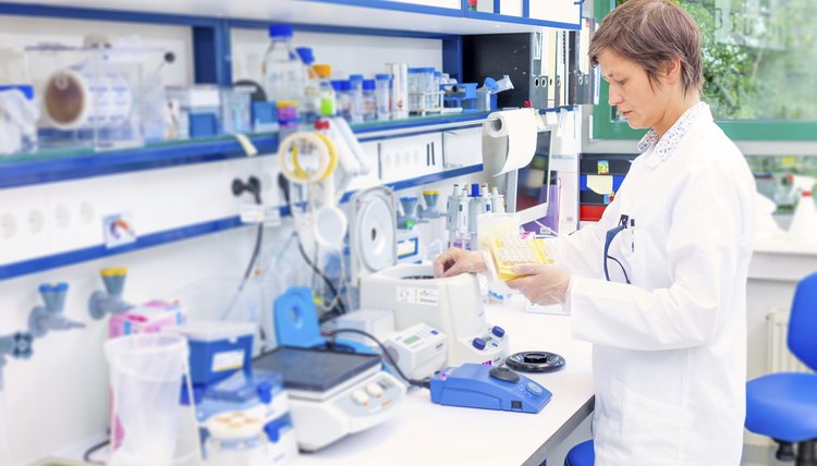 technician in the microbiology laboratory