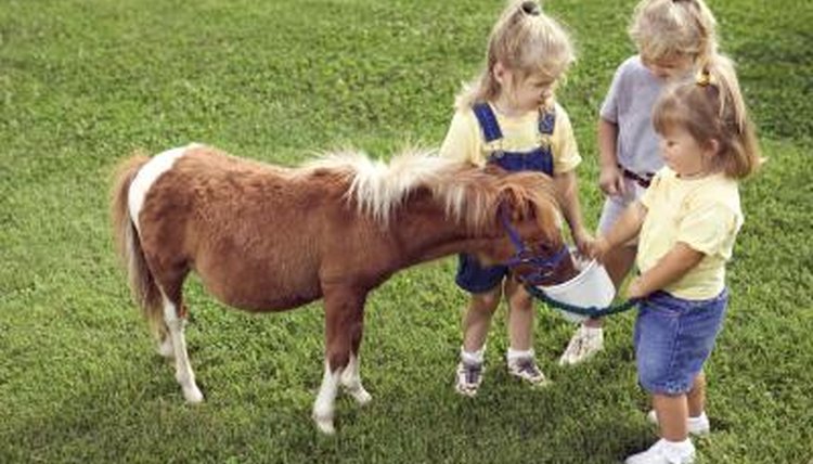 Thinkstock/Comstock/Getty Images