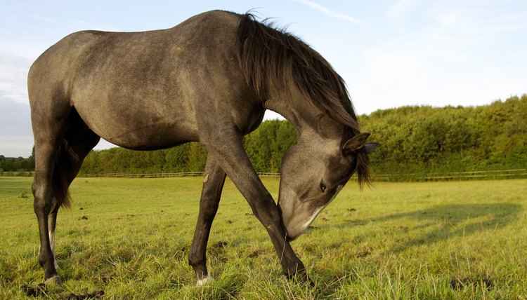 jan middelveld/iStock/Getty Images
