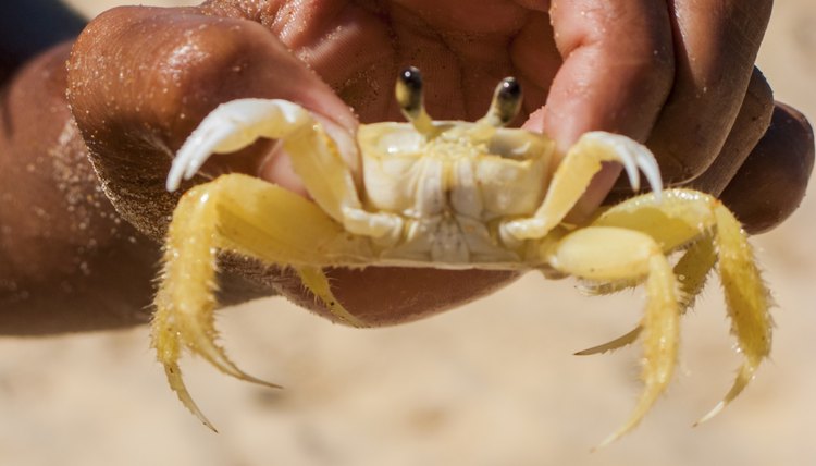 claudiodoenitzperez/iStock/Getty Images