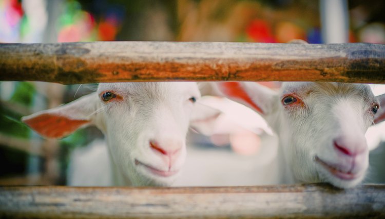 nuiiko/iStock/Getty Images