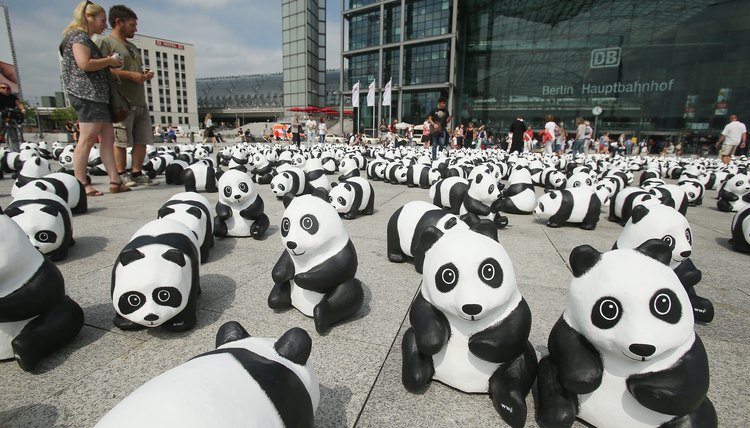 1,600 Panda Sculptures Highlight World Wilflife Fund 50th Anniversary