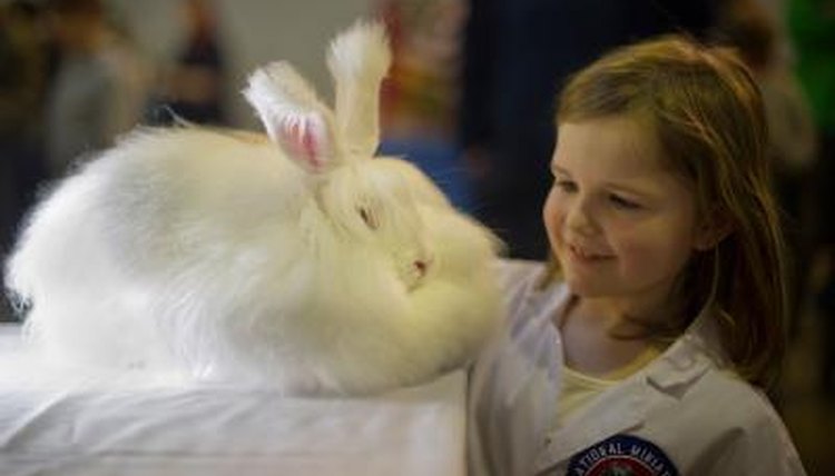 Bethany Clarke/Getty Images News/Getty Images