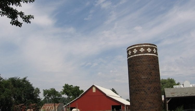 Plan a field trip to a local farm.