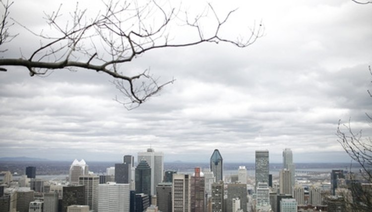 The city of Montreal is home to McGill University, or as some people call it,