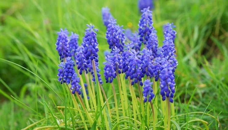 Ask the kids to draw their favorite spring flower.