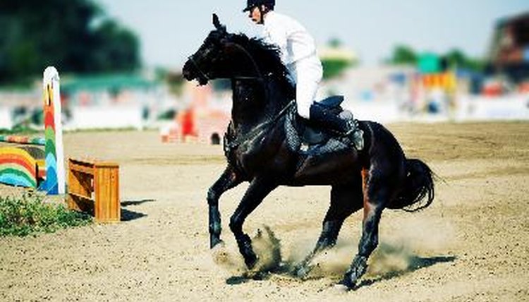 Horse theme: jockeys, horse races, speed. image by Andrey Kiselev from Fotolia.com