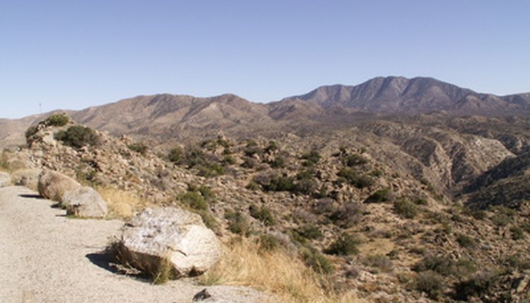 The Southwest has areas of desert.